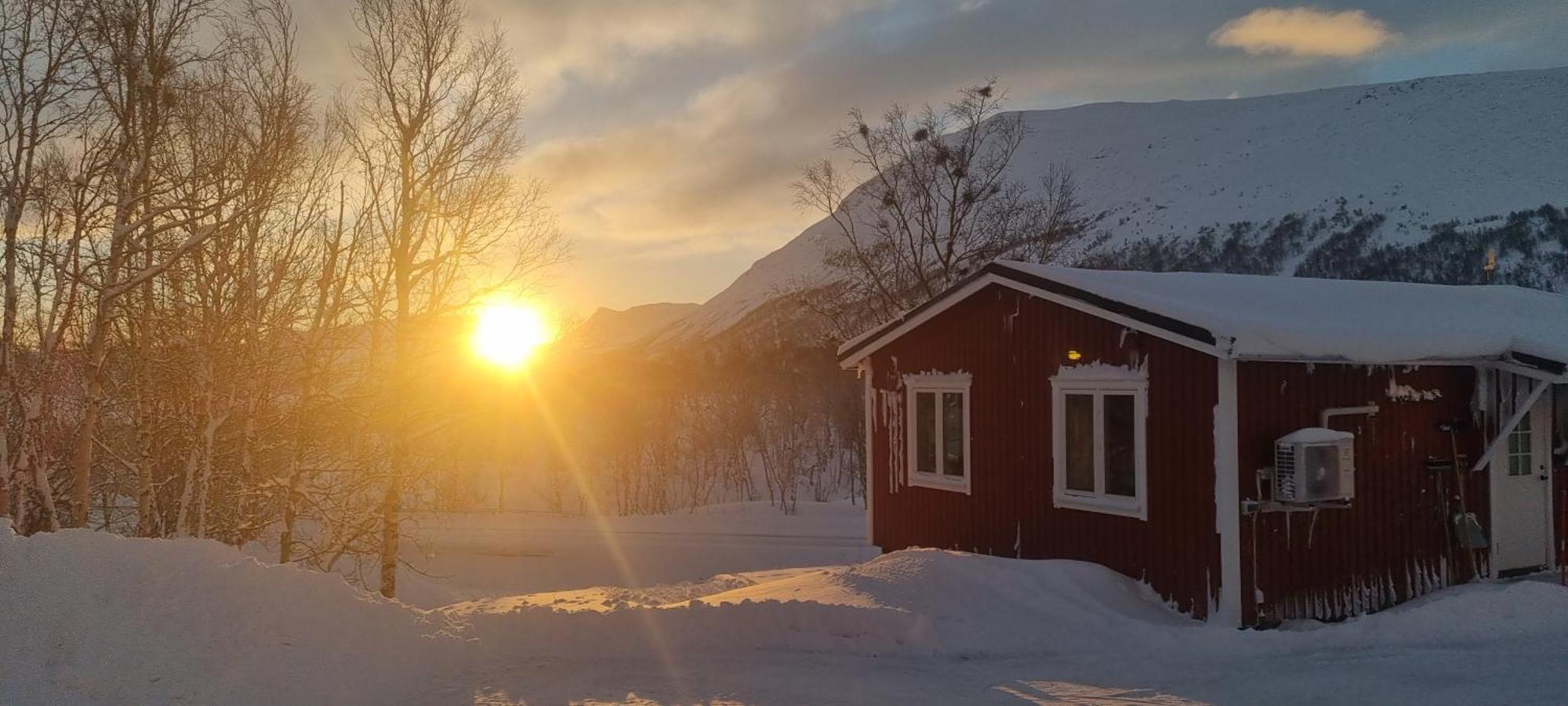 Micke O Ritas Stuga Björkliden المظهر الخارجي الصورة